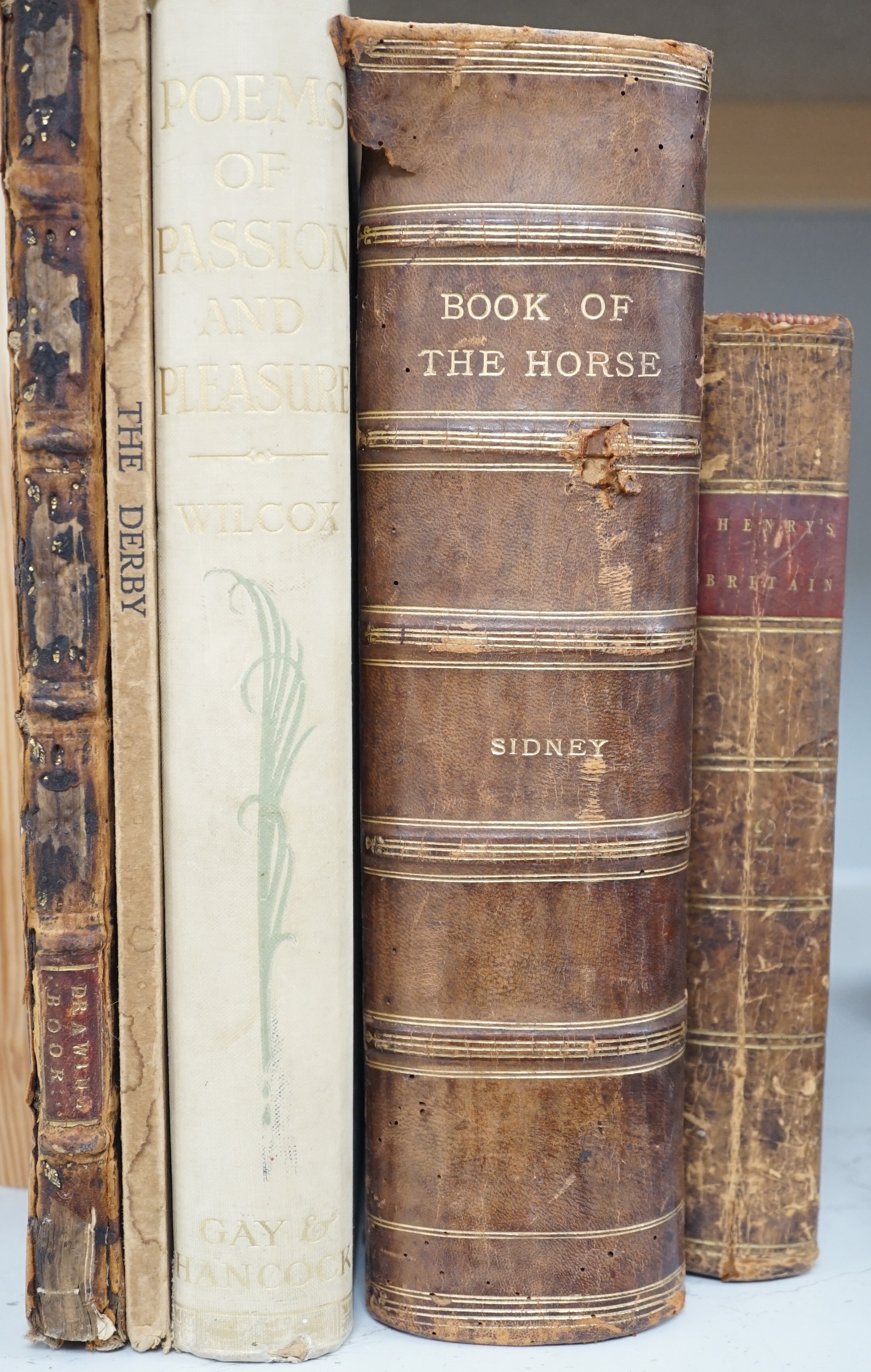 Seven various books including Landseers works, Henry’s Britain, Book of the Horse, Poems of Passion and Pleasure etc.